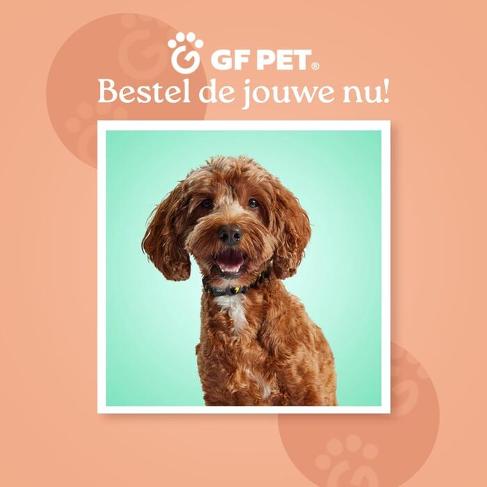 Жовтий дощовик для собак середнього розміру ElatoFit - водонепроникний, розмір H 33 см