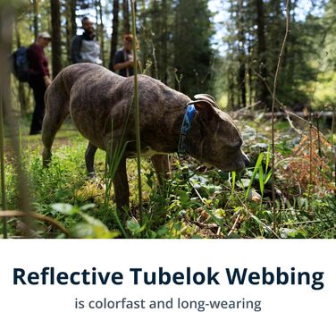 Нашийник для собак Ruffwear Crag, середній, 36-51 см, з алюмінієвим кільцем V, регульований, м'який, преміум-якість, для повідка