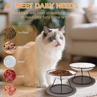 Набір мисок для котів FoiiLiio 2 шт. з кераміки з металевим підставкою, 10 см, з підставкою з силікону, чорний