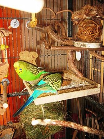 Сидіння для птахів Vogelgaleria з кокосовою мискою, знімна годівниця, іграшка та кормове сидіння для папуг і канарок