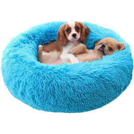 колір: блакитний