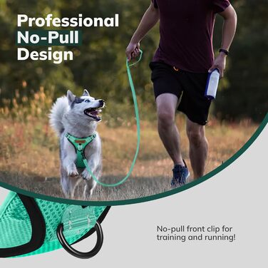 Нашийник для собак FAYOGOO з відбиваючими елементами, без чіткого обмеження, м'який, з підкладкою, для маленьких, середніх та великих собак, зелений, XS