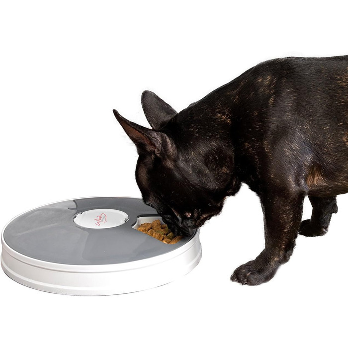 Автоматичний годівниця для котів та собак Infactory Fressnapf з таймером, LCD-дисплеєм (6 відділень)