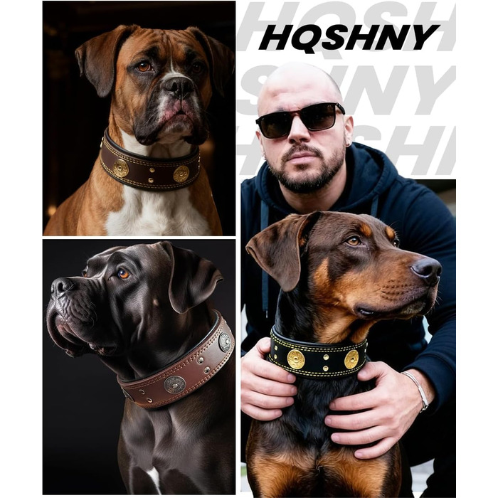 Шкіряний нашийник для собак, 5 см, ручної роботи, преміум-якість, для великих та середніх порід, золото-чорний, розмір M (46.5-57.5 см)