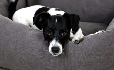 Кербл Pet Lucca Сіре, м'яке ліжко для домашніх тварин (85x110 см)