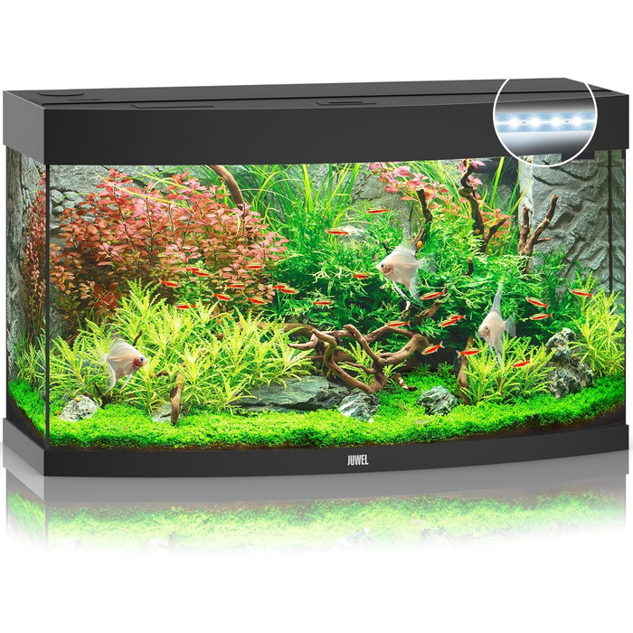 Акваріум Juwel Vision 180 LED, світле дерево, 180 л
