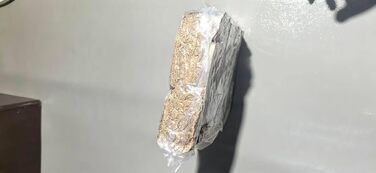 Крісло-лежанка для собак великих порід, XXL, світло-сіре, 106x76x20 см, знімний чохол, неслизьке, з підковою для шиї