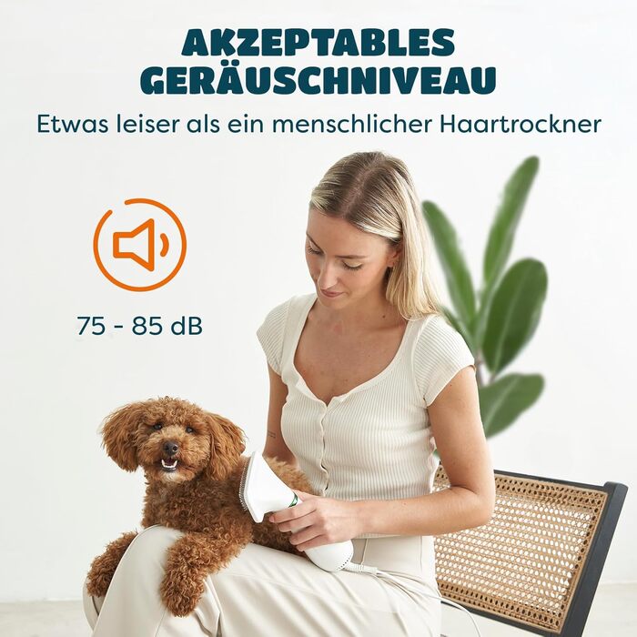 Фен для собак та котів 2-в-1 з щіткою | 300W, регулювання температури, нержавіюча сталь