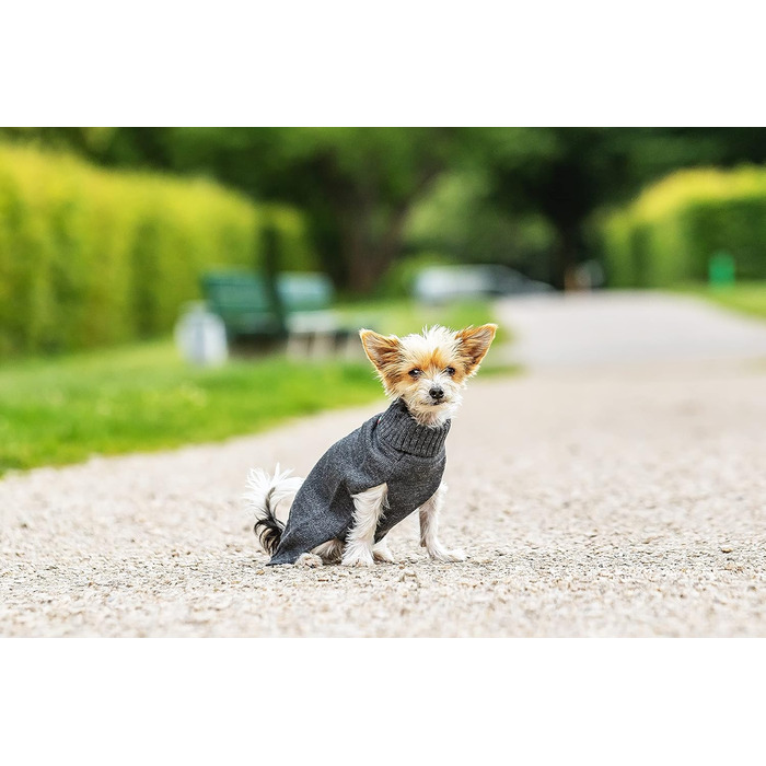 Світшот/Худі CHIARA Eie Puover CHP-403GN, Зелений, 100% поліестер, комфортний, стильний, для чоловіків