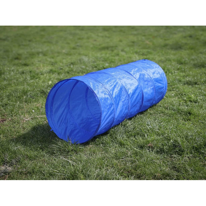 Набір для аджиліті Lemodo для малих та середніх собак | Набір для дресирування з бар'єрами, тунелем та кільцем | Початковий набір для собачого спорту