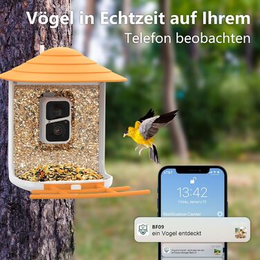 Сонячна годівниця для птахів з Wi-Fi камерою SOLIOM BF09, 1080P HD, автоматичний запис, сповіщення на телефон