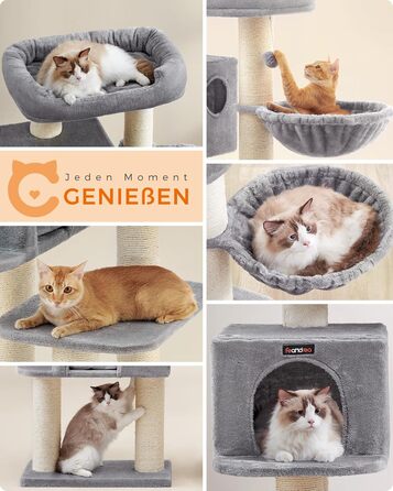 Драбина для котів Feandrea XXL: міцна, з 6 товстими стовпчиками, платформа, будиночок, кошик, сіра