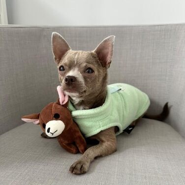 Тепла жилетка для собак та котів Jacko & Co з кільцем для повідка – м'яка, легка, дихаюча (XXL, м'ятний)