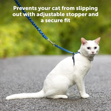 Шлейка для котів PetSafe Come with Me Kitty з еластичним повідцем, розмір S, синя