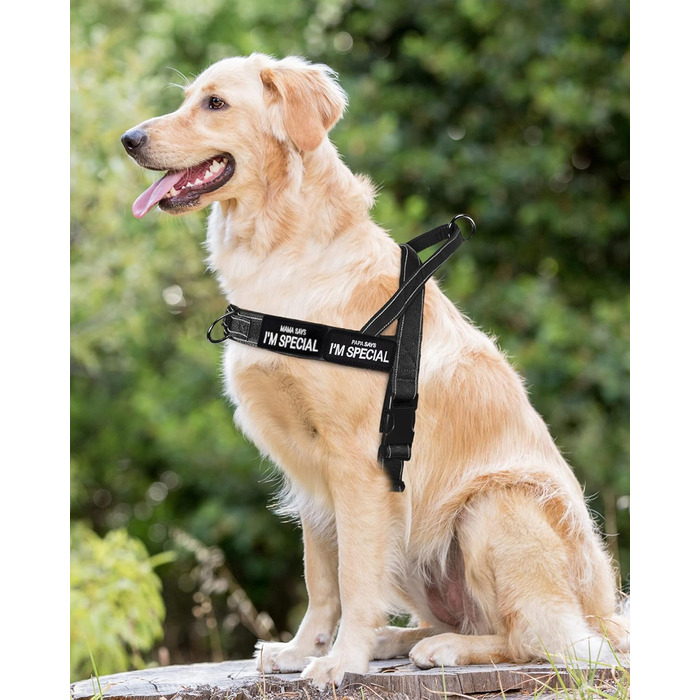 Шлейка для собак Eeyfarog No Pull без ривка, для малих та середніх порід, чорна, регульована, світловідбиваюча (M, обхват грудей 53–70 см)