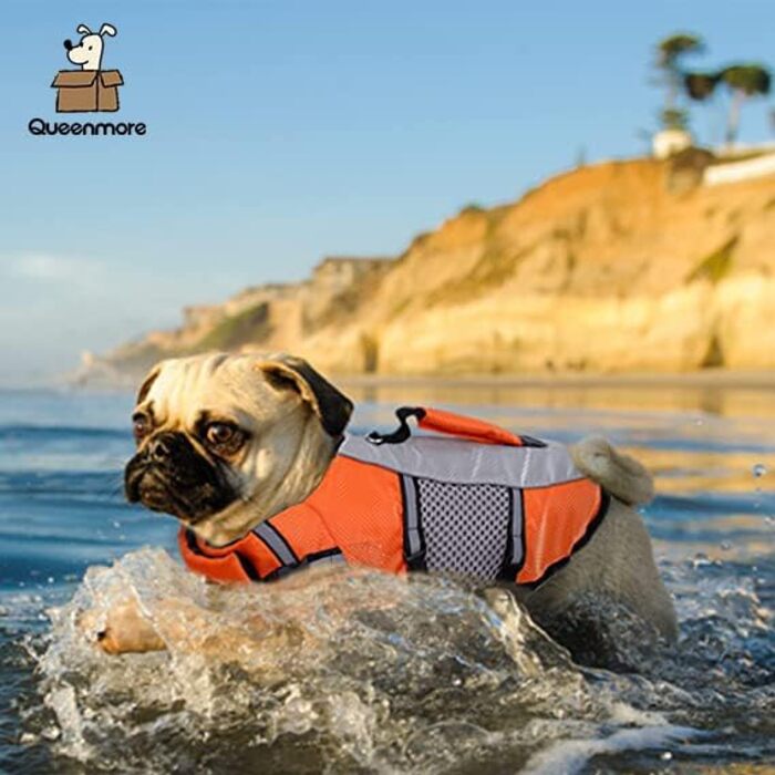 Жилет для плавання собак Queenmore, регульований, високопомітний, з рятувальним гачком, з кільцем для повідка (Помаранчевий, M)