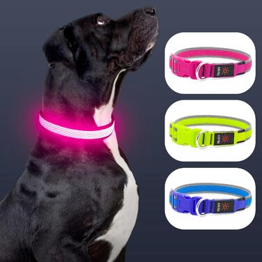 Світлодіодний нашийник для собак Bpawser, USB зарядка, рожевий, M, для середніх і великих порід, світиться для безпеки вночі