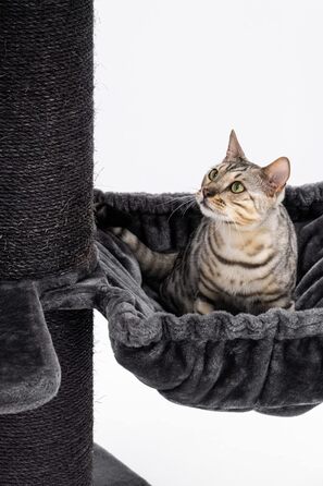Когтеточка для великих котів Petrebels Maine Coon, 117 см, преміум-якість, стовпи Ø20 см, чорна