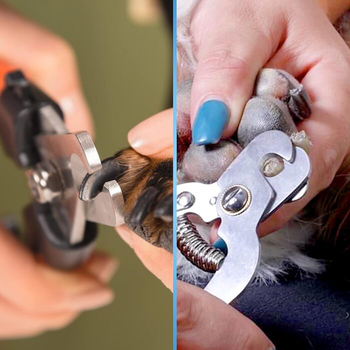 Набір для стрижки кігтів Wahl для котів та собак, професійний, з безпечним замиканням, неслизькі ручки, гострі леза, оранжевий