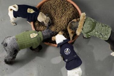 Светр для собак KARLIE DOG FORCE, морський синій або оливковий, 6 розмірів