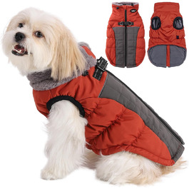 колір: гниль