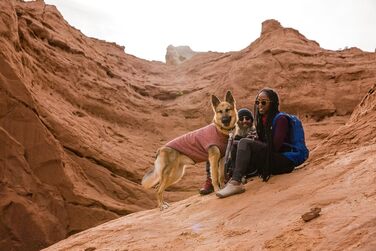 Пуловер для собак RUFFWEAR Hemp Hound, преміум якість, з органічної бавовни, для всіх порід, розмір M (Fired Brick, X-Small)