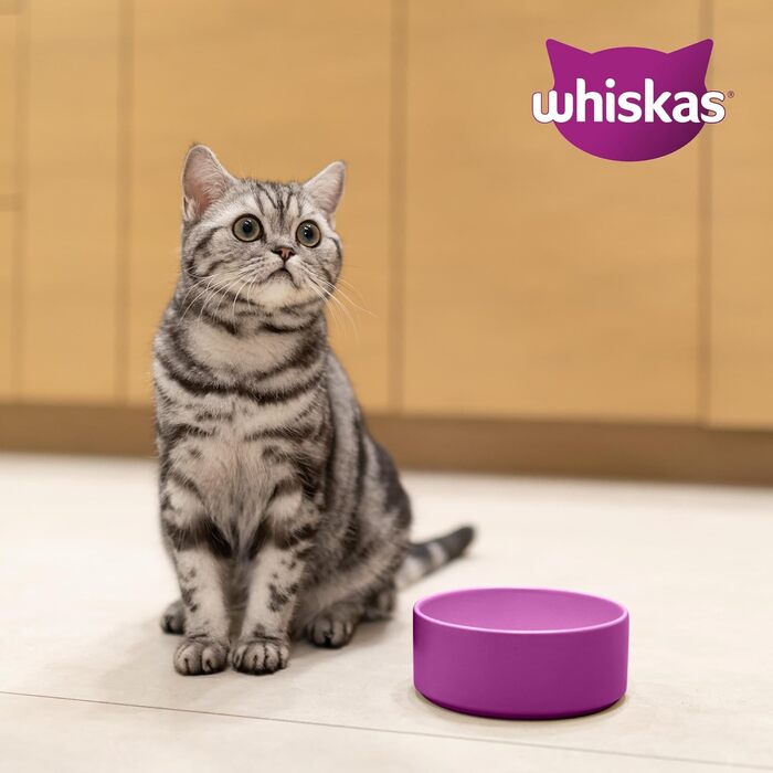 Сухий корм для дорослих котів WHISKAS з куркою, 5 x 800 г