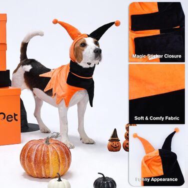 Костюм на Хелловін для собак Lelepet з капелюхом та накидкою, веселому костюму для домашніх тварин, косплей-одягу на Хелловін, для вечірки, на карнавал, святковий одяг для собак маленьких, середніх та великих розмірів (X-Small, помаранчевий/апельсиновий в