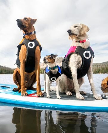 Жилет для собак Stunt Puppy Float Doggy, червоний, розмір Small Wide - безпечний та ергономічний жилет для плавання