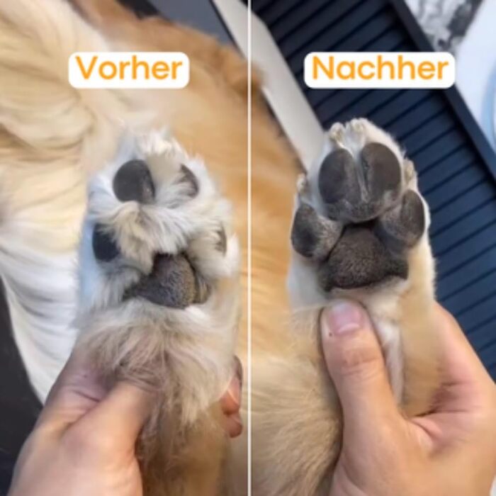 Триммер для собак: безпечна обрізка подушечок лап, 1 шт.