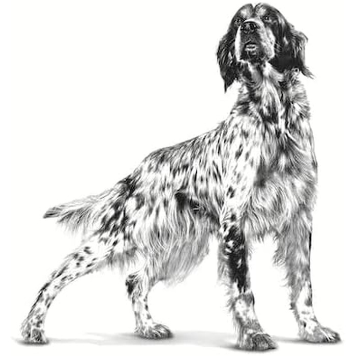 Корм лікувальний Royal Canin Vet Diet Satiety Support для собак, 12 кг (набір 1.5 кг)