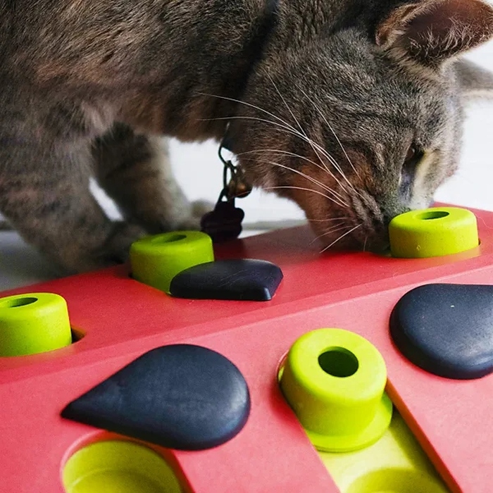 Інтерактивна головоломка для котів Nina Ottosson Cat Puzzle Play — Melon Madness