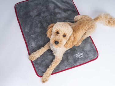 TrendPet Рушник для собак та котів, сушильна ковдра, 110x80 см