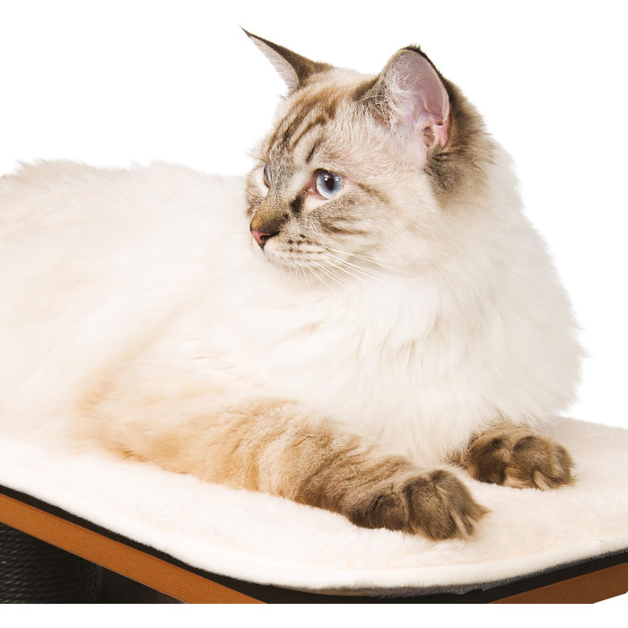 Котячий будиночок Catit Vesper HighBase, чорний, з кубічною хаткою та двома платформами, меблі для котів