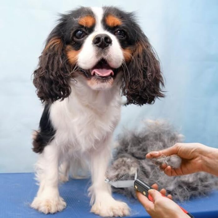 Професійна щітка для грумінгу собак та котів, видаляє підшерсток, розплутує шерсть (18 лез)