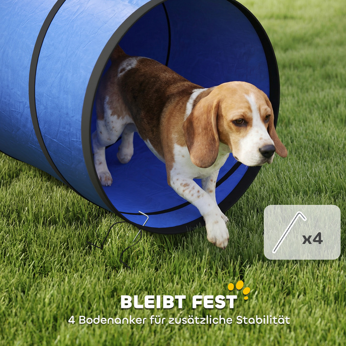 Тунель для собак Agility (300 x 50 см) з 4 анкерами для кріплення та сумкою для перенесення, ігровий тунель для малих та середніх порід, синій