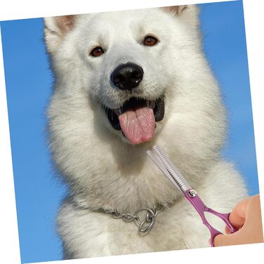 Набір професійних ножиць для грумінгу собак BESPORTBLE з гребінцем: міцні, нержавіючі, для стрижки шерсті