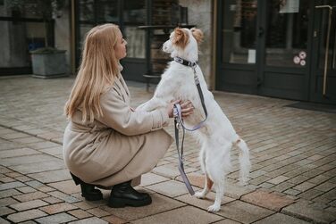 Нашийник для собак HUNTER Neopren Vario Plus, лаванда/сірий, S-M