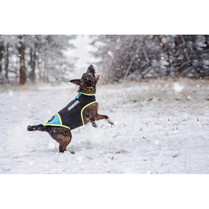 Julius-K9 IDC неопреновий одяг для собак, розмір S, чорний та аквамарин