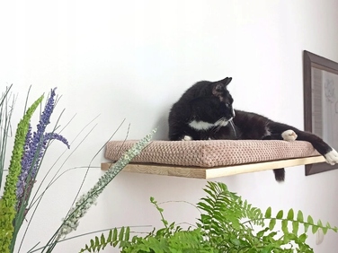 Настінна полиця для котів Cat's Atelier Cozy Nook, 60x37x6 см, натуральна
