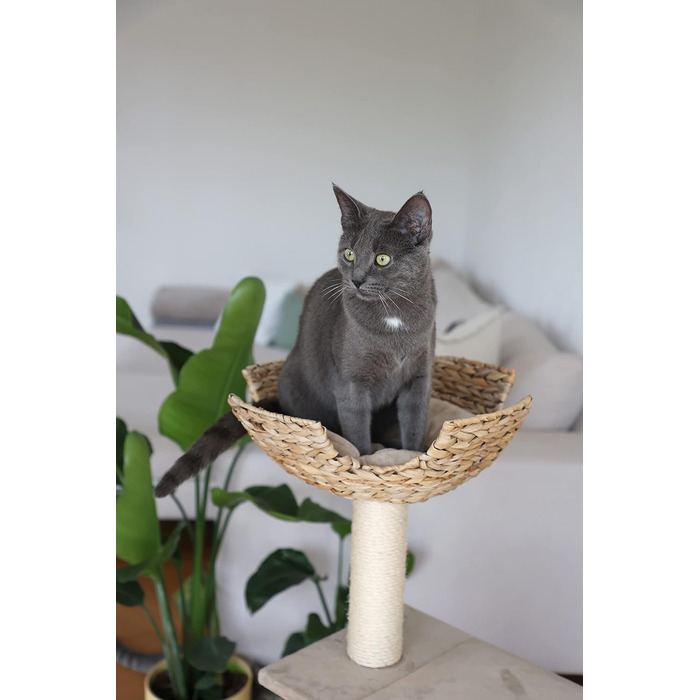 Дряпка для котів Kerbl 81592 Banana Leaf Jade, 70x38x102 см, бежева