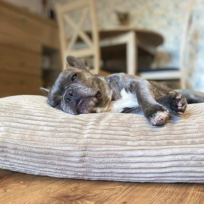 Килимок для собак 60x50 см, бежевий, Corduroy (4L Textil ZOE)