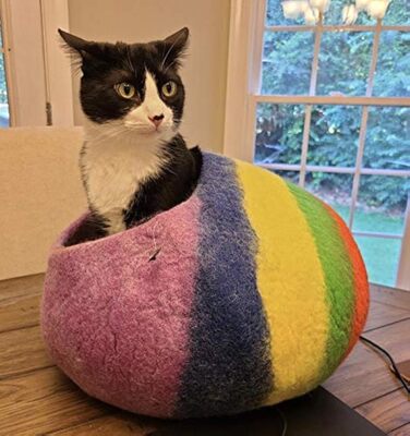 Ручна котяча хатка з вовни, райдужна, Dr. Judy Morgan's Naturally Healthy Pets