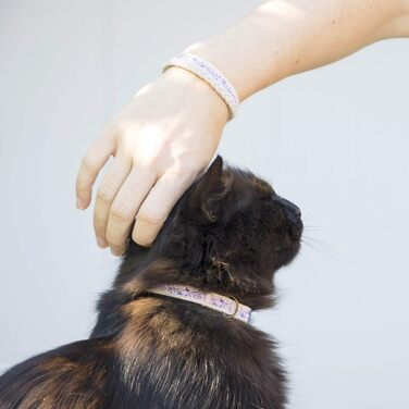 Набір ошейників для котів Pettsie та браслети дружби, безпечний дизайн з м'якої бавовни, D-подібне кільце для аксесуарів, регульований розмір 19-29 см (12,7-20,3 см, фіолетовий)