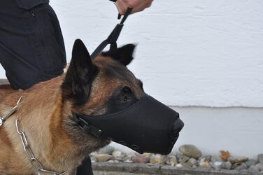 Корзина для собак COP® K9 Beisskorb Quick Release, Cordura®, чорна, розмір M