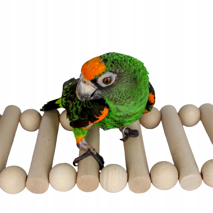 Драбинка для папуг Parrot Planet, 10 x 40 см