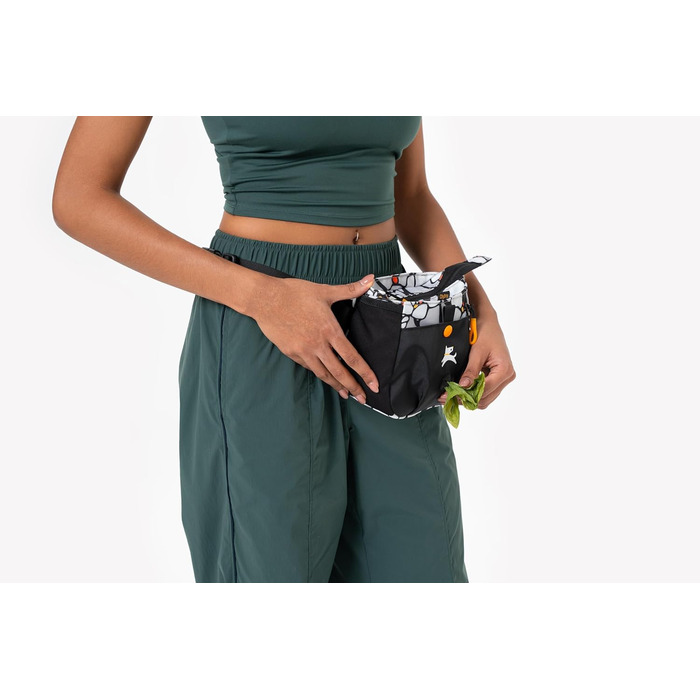 ОлліДог Backcountry Tagestasche: сумка для ласощів для собак з відділенням для відходів, на талії, Raven S'25 (Магнолія)