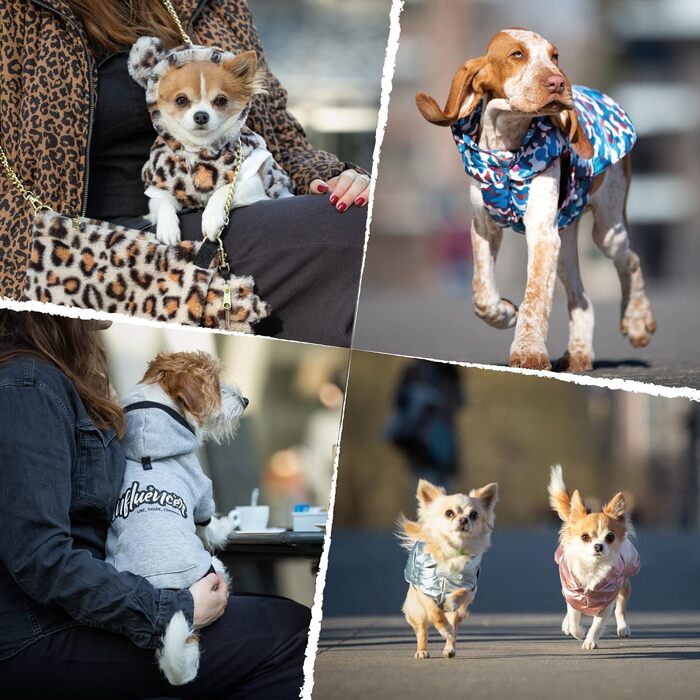 Водонепроникний дощовик для собак Croci Montreal, розмір спини 35 см, підкладка з флісу, регульований з гумкою та отвором для повідка та шлейки, перламутровий колір (65 см, 1 шт.)