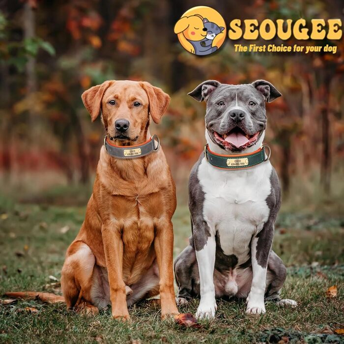 Нашийник та поводок для собак, шкіряний, персоналізований, м'який, з міцним нашийником та індивідуальною табличкою, регульований (M, верблюжий, комплект (S:Neck 23-32cm, Width 1.5cm, помаранчевий та блакитний))