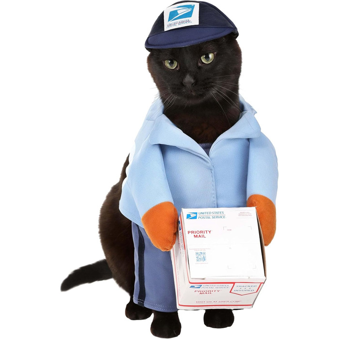 Костюм поштаря США, розмір L (Large) від California Costumes